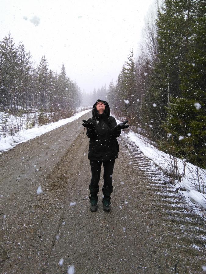 Gafsele Lappland Hostel Vaster Gafsele Екстер'єр фото