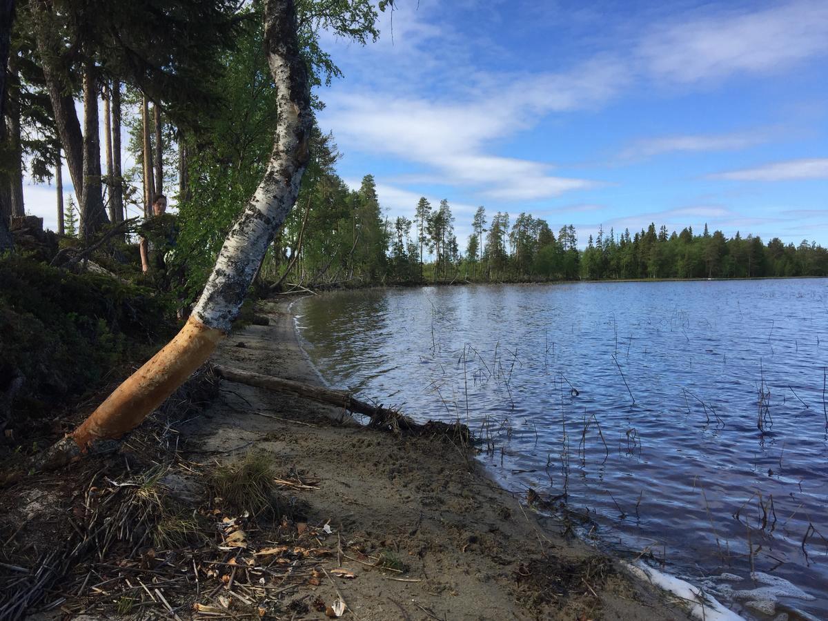 Gafsele Lappland Hostel Vaster Gafsele Екстер'єр фото